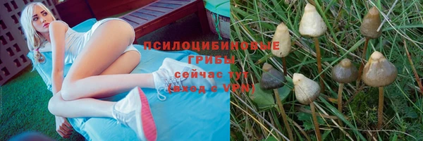 соль курить ск Вязники