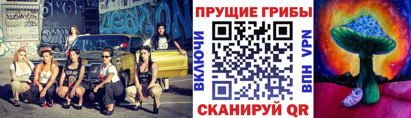 Галлюциногенные грибы Psilocybe  Юрга 